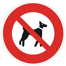interdit aux chiens